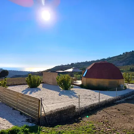 The Hive Peyia