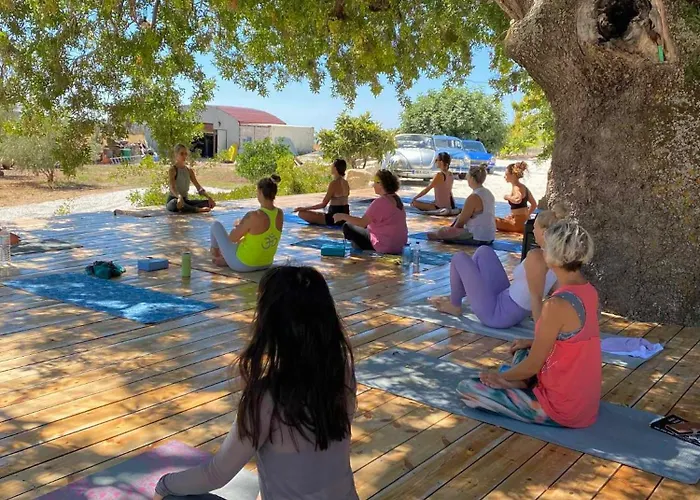 シャレー The Hive