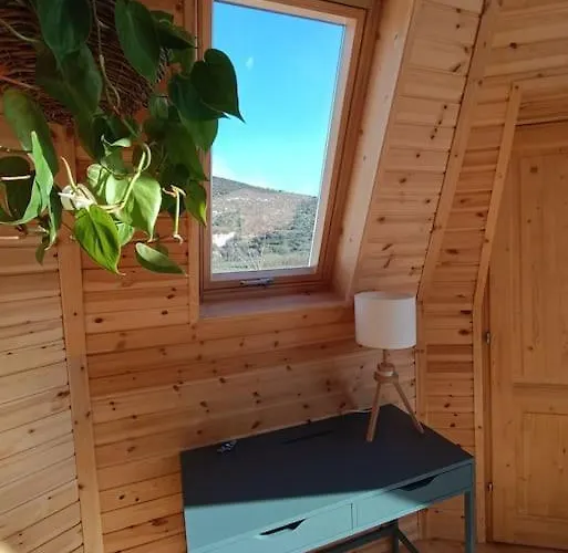 シャレー The Hive *