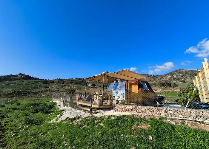 シャレー The Hive *